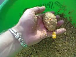 Papa-bun pt pesti - imagesvf.jpeg